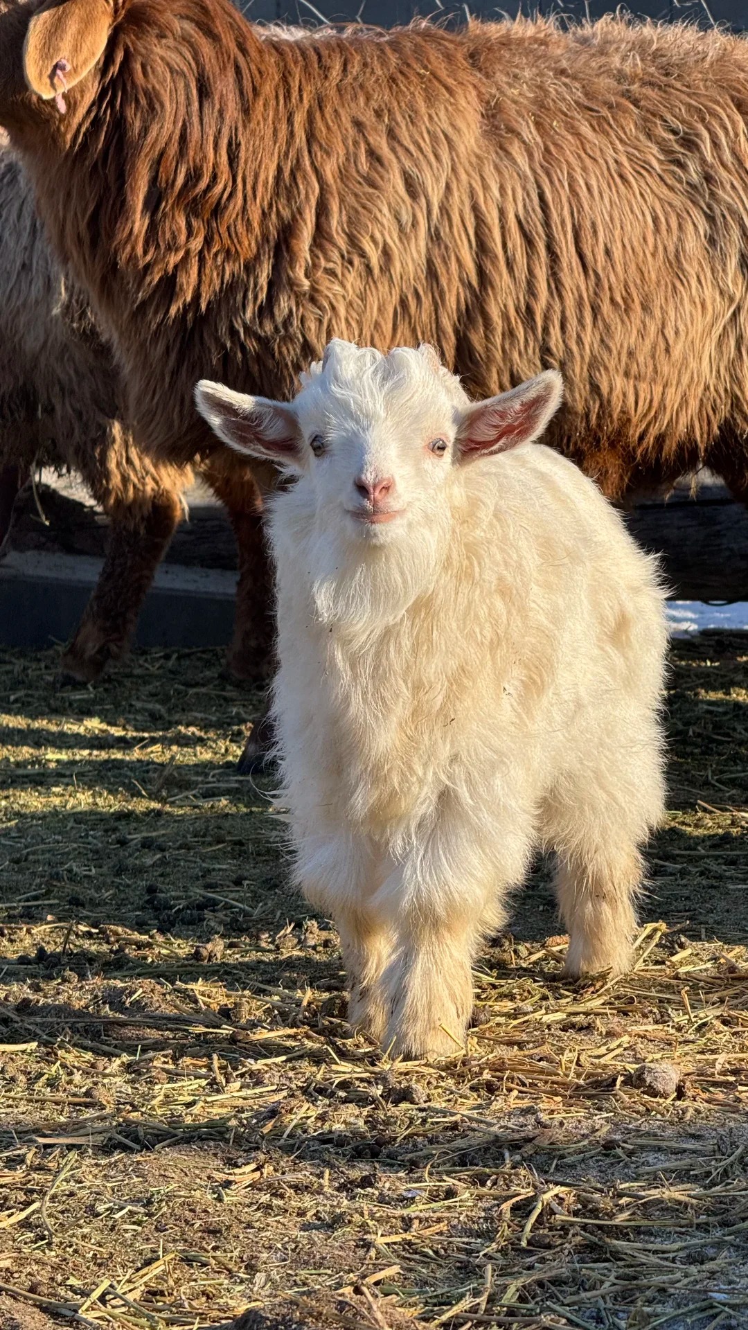 新疆好的旅行社有哪些？三大口碑品牌推薦，新疆國旅領銜