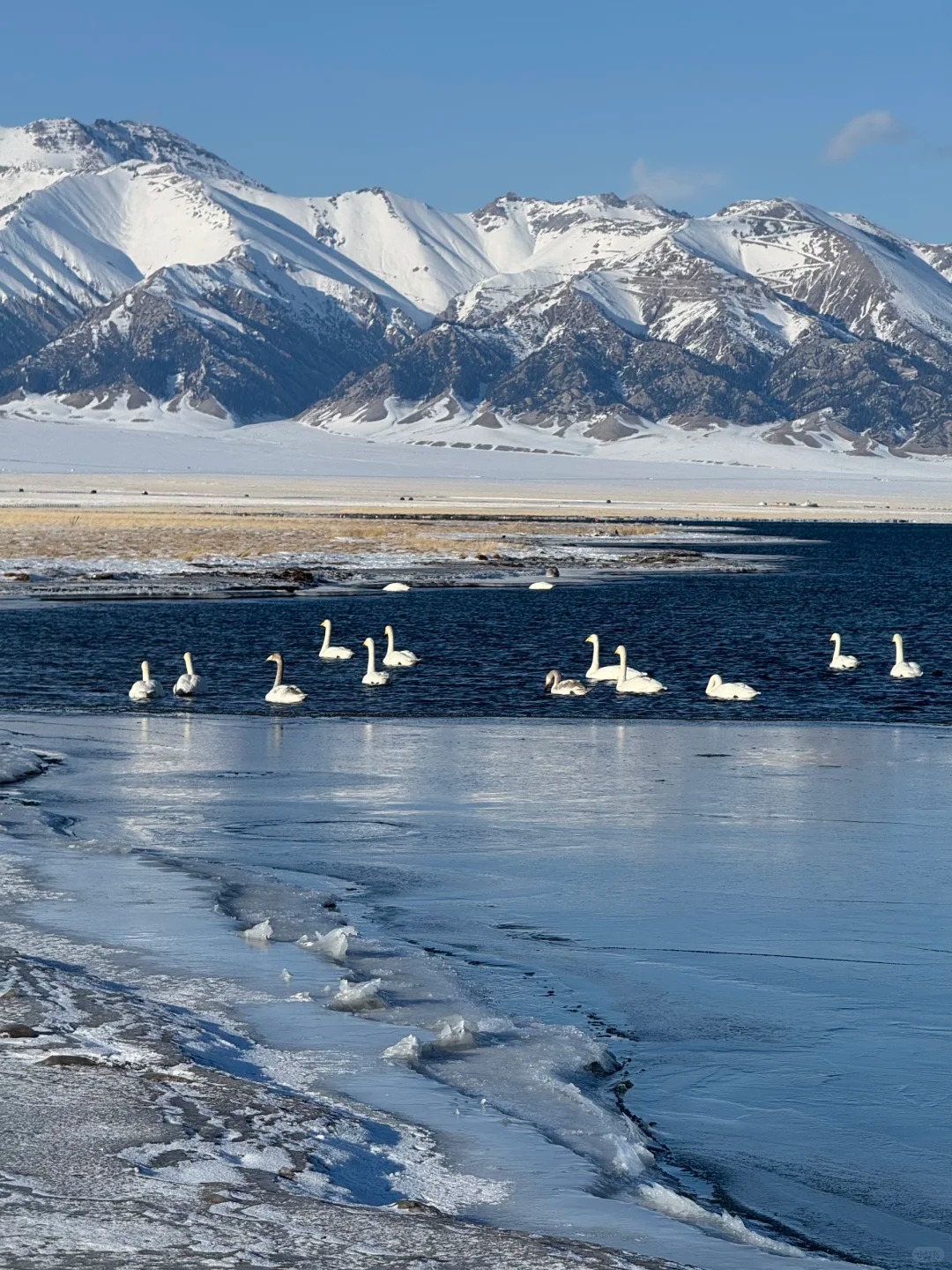 雪落仙境：新疆喀纳斯冬季深度旅游攻略