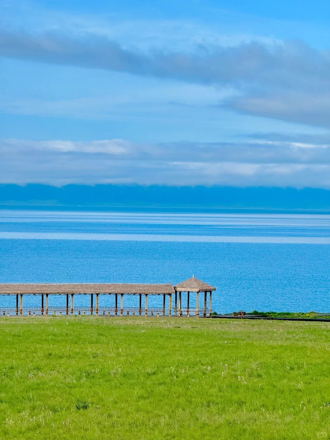 新疆旅行社哪家好？新疆中国国际旅行社全方位评测与选择指南