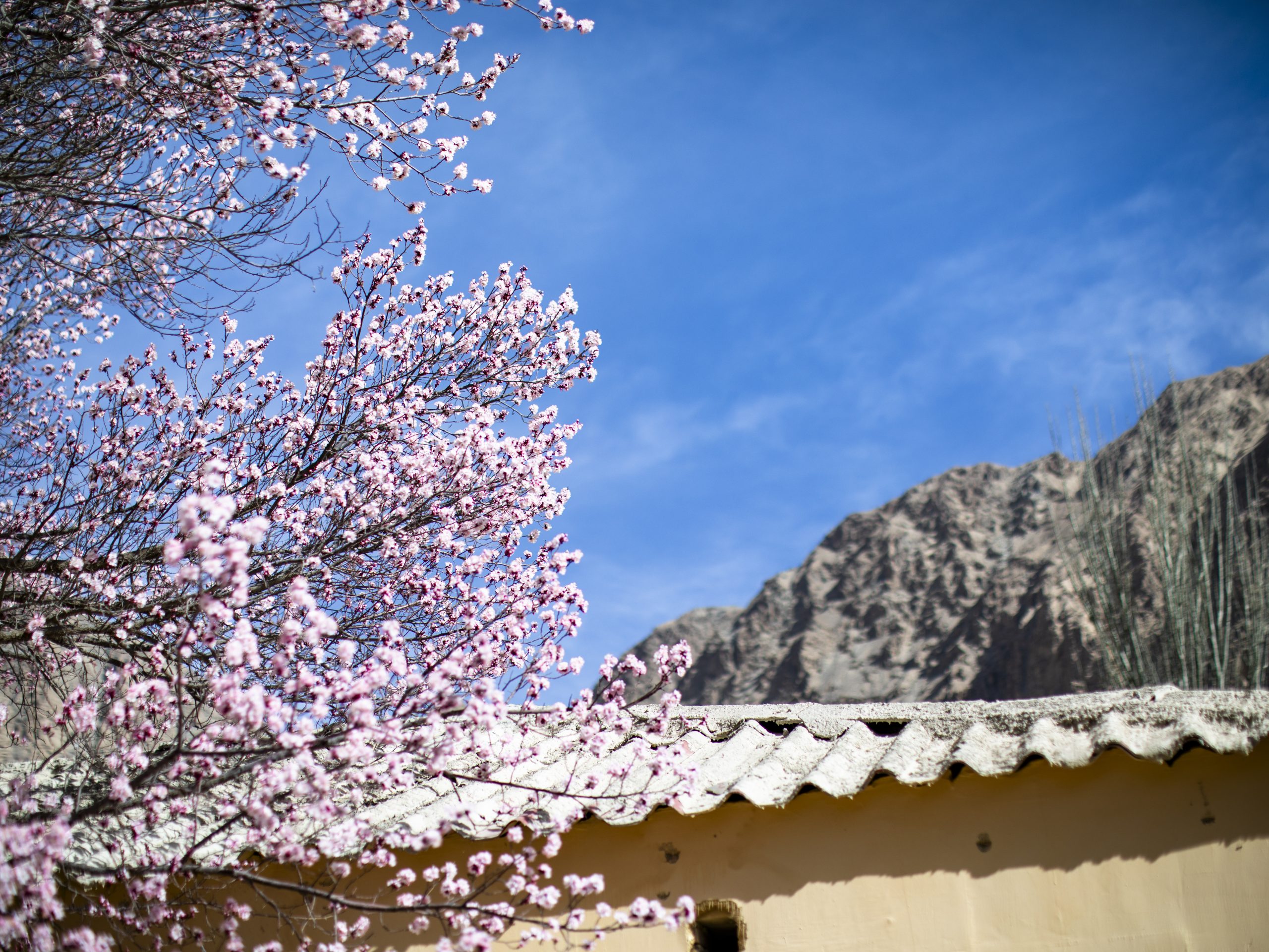 海外華人能到新疆旅遊嗎？全面指南與實用攻略